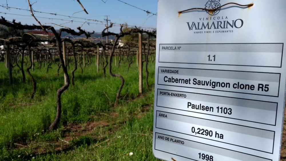 Valmarino_latada