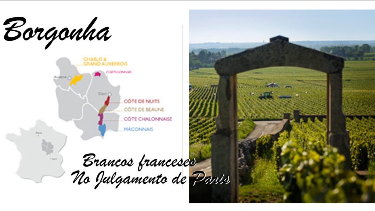 Borgonha - brancos do julgamento de paris